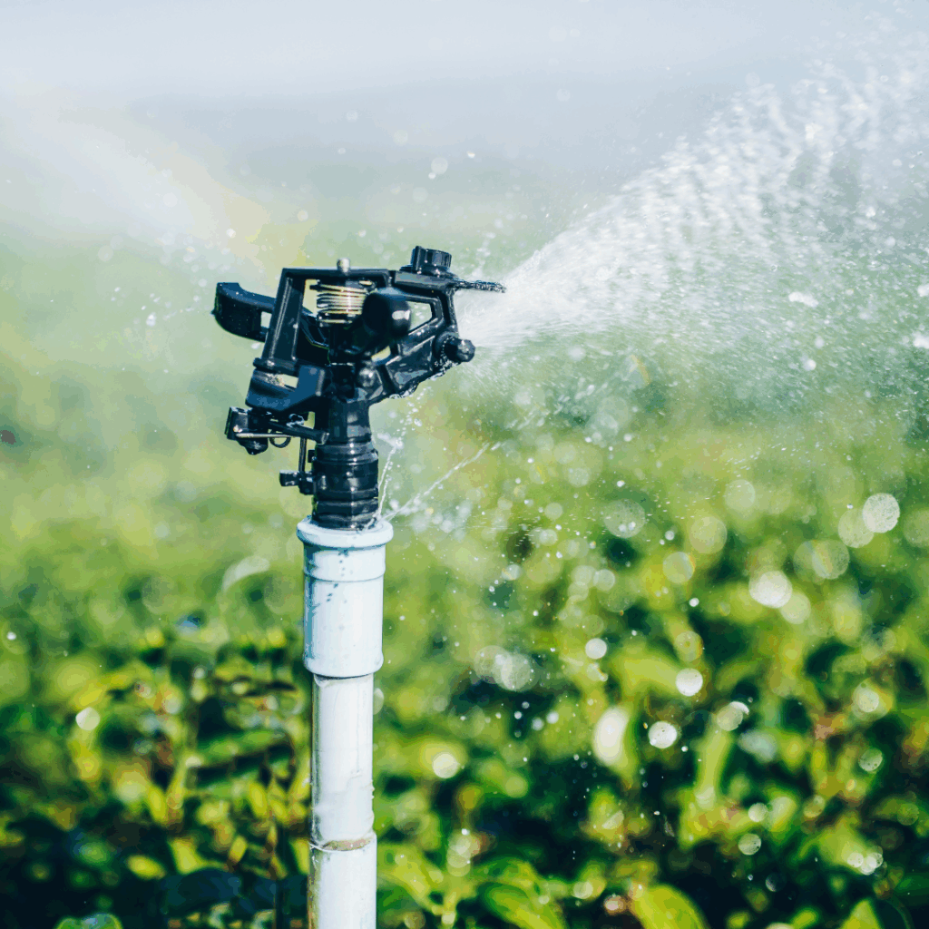 landscape irrigation - local landscape company