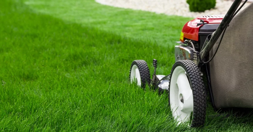 Top-Summer-Lawn-Maintenance-Tips